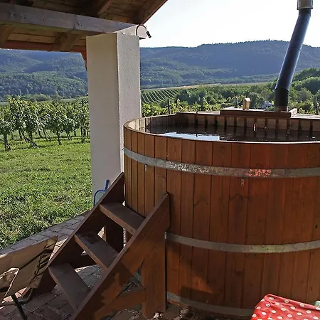 Casa Beata Vakantiehuis Lesencetomaj