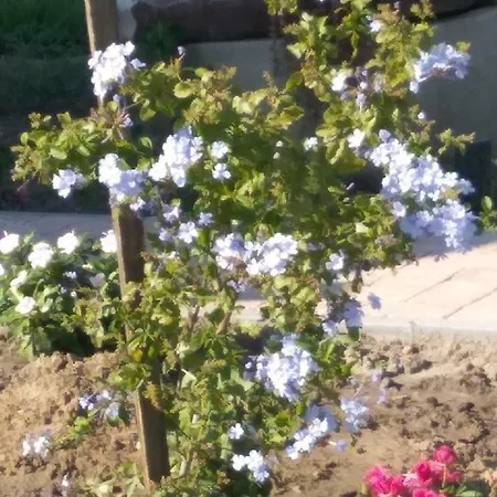 Casa Beata Сasa de vacaciones Lesencetomaj