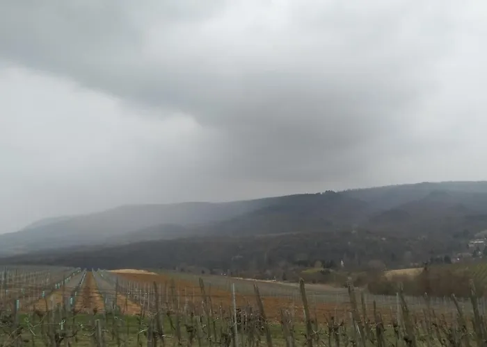 Vakantiehuis Casa Beata