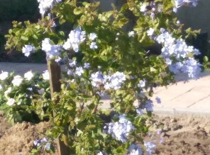 Casa Beata Vakantiehuis Lesencetomaj