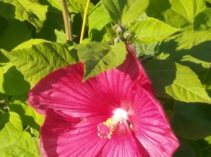 Vakantiehuis Casa Beata *